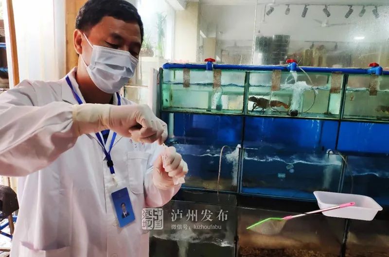 大连海产品企业外环境中检出病毒/大连30例确诊为海鲜公司员工 大连海产品企业外环境中检出病毒/大连30例确诊为海鲜公司员工