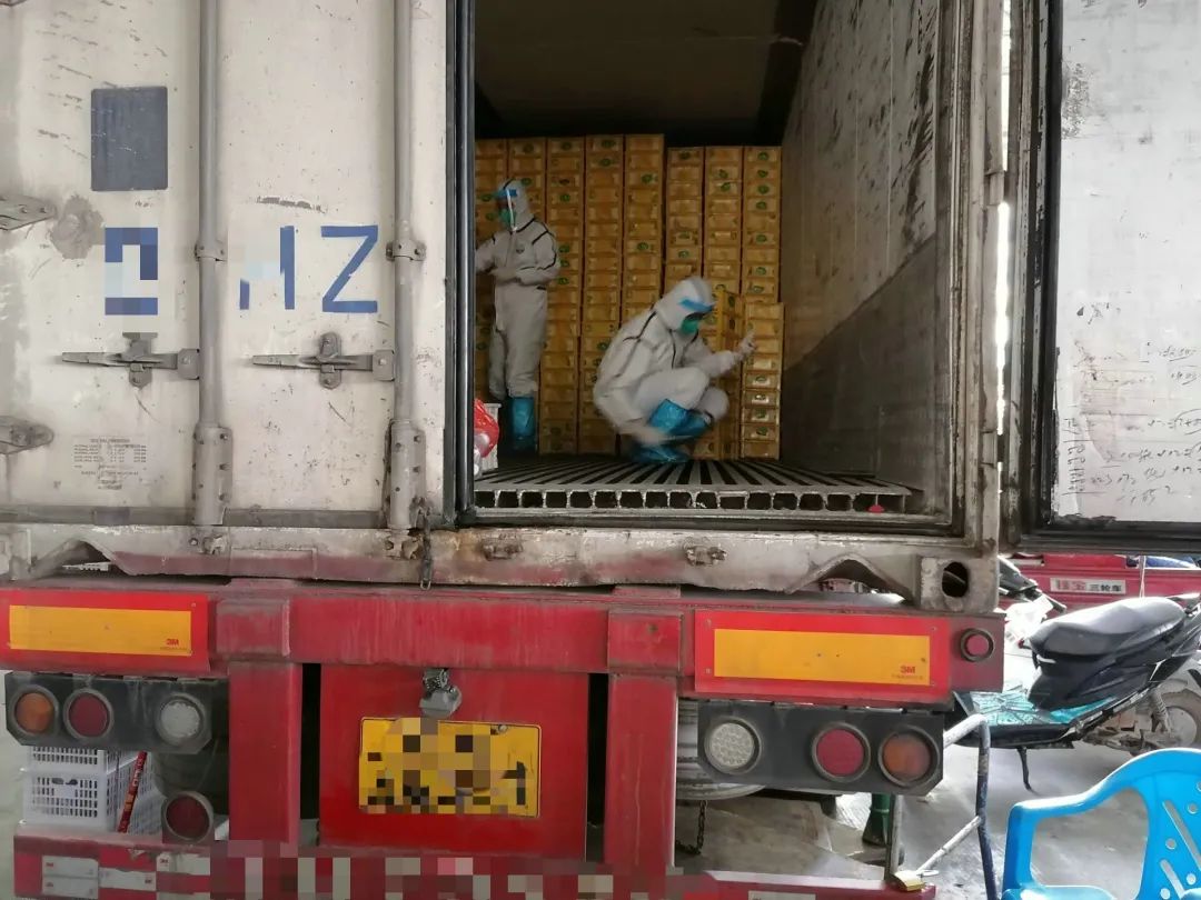 大连海产品企业外环境中检出病毒/大连30例确诊为海鲜公司员工 大连海产品企业外环境中检出病毒/大连30例确诊为海鲜公司员工