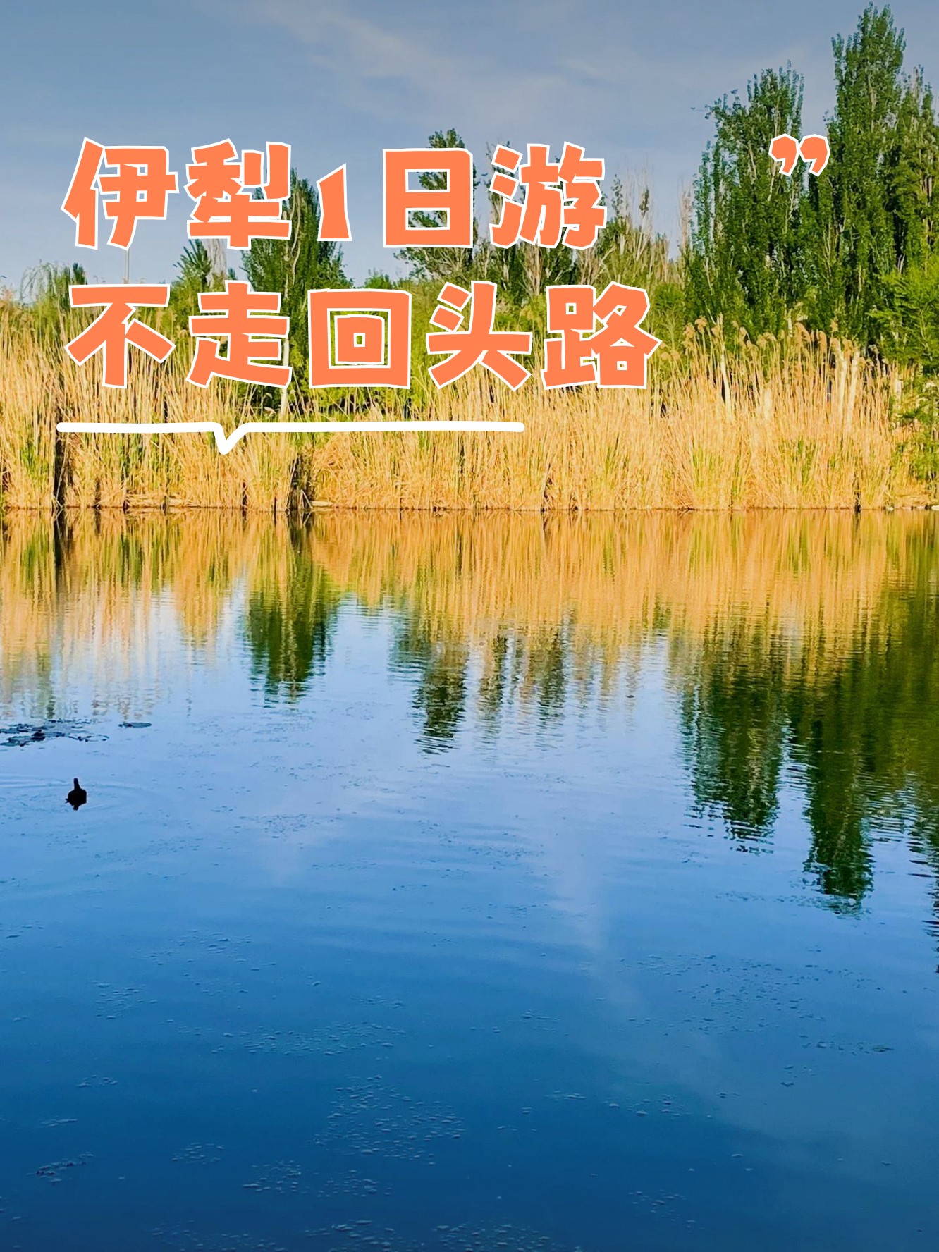 伊犁游客暂不能离开/现在去伊犁旅游可以吗 伊犁游客暂不能离开/现在去伊犁旅游可以吗