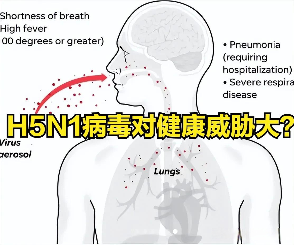 美国疫情新增病例/美国新增病例情况