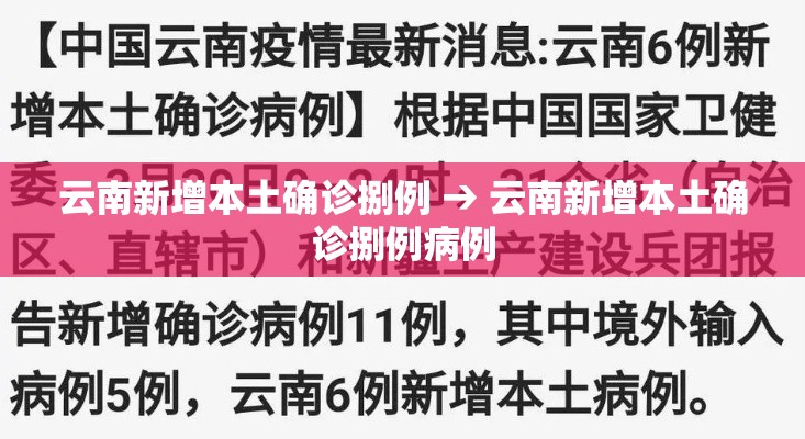 云南新增15例确诊/云南新增15例确诊病例