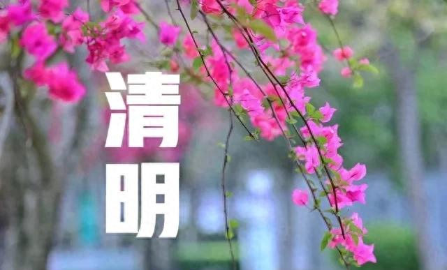 【清明是几号,今年清明是几号】 【清明是几号,今年清明是几号】