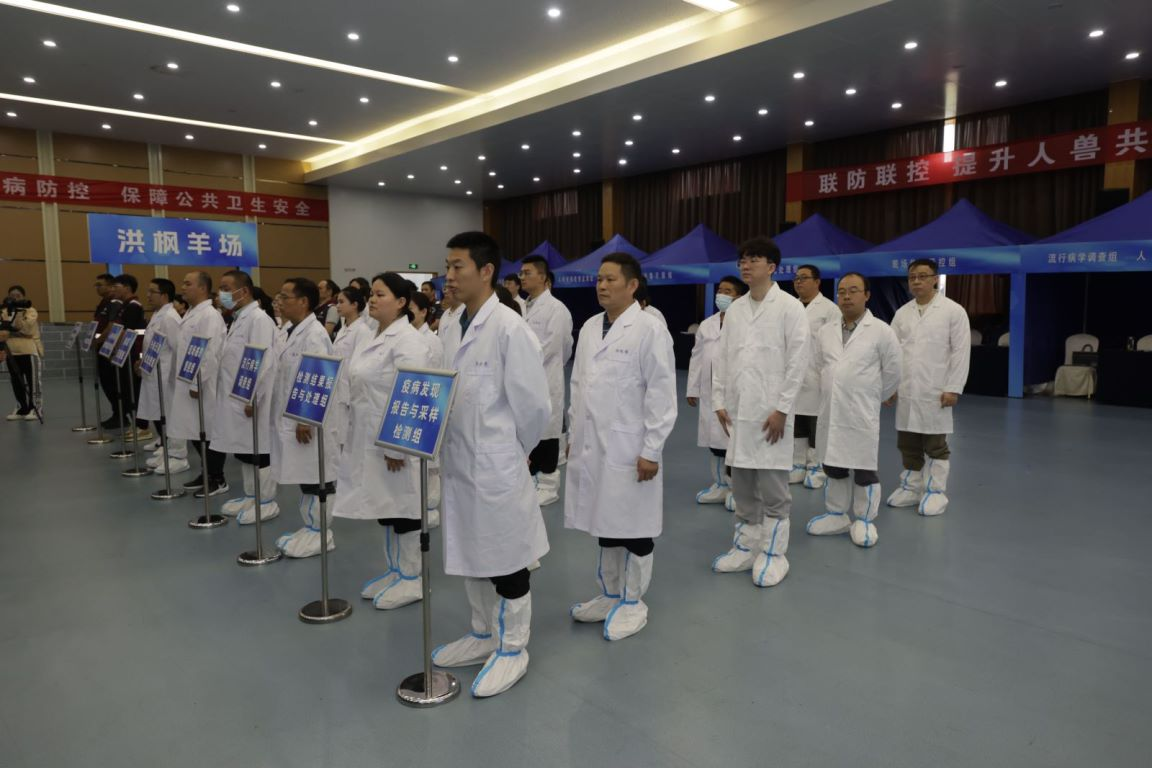 2024年南京疫情最新消息/2024年南京疫情最新消息视频 2024年南京疫情最新消息/2024年南京疫情最新消息视频